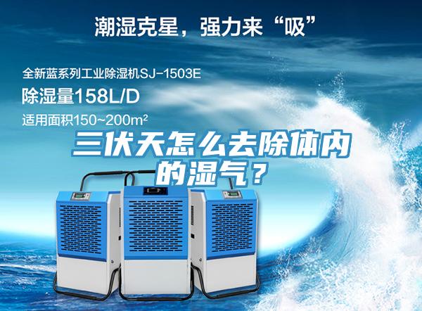 三伏天怎么去除體內的濕氣？