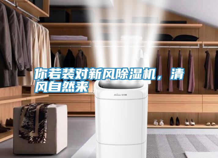 你若裝對新風除濕機，清風自然來