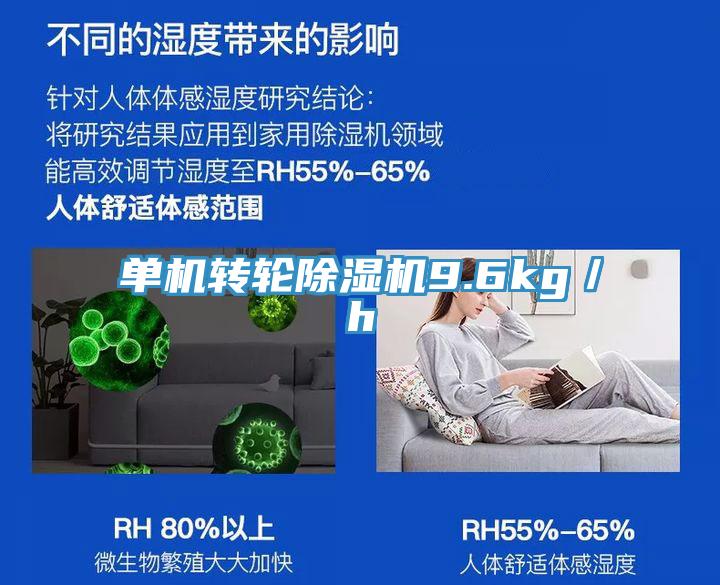 單機轉(zhuǎn)輪除濕機9.6kg/h