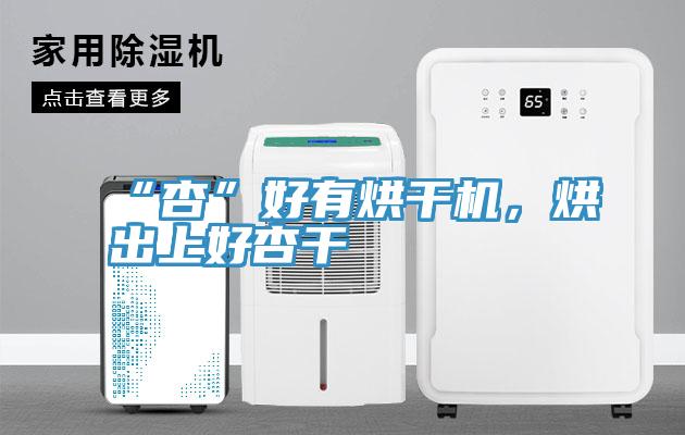“杏”好有烘干機(jī)，烘出上好杏干