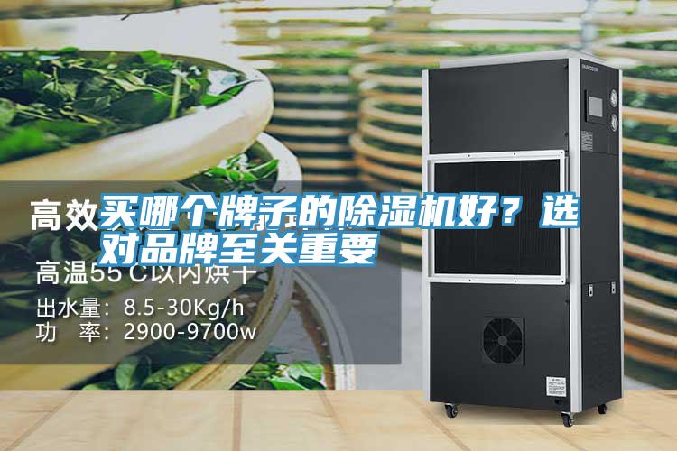 買哪個牌子的除濕機好?選對品牌至關重要