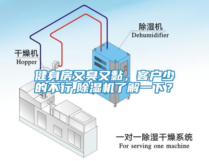 健身房又臭又黏，客戶少的不行,除濕機了解一下？