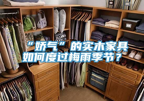 “嬌氣”的實(shí)木家具如何度過(guò)梅雨季節(jié)？