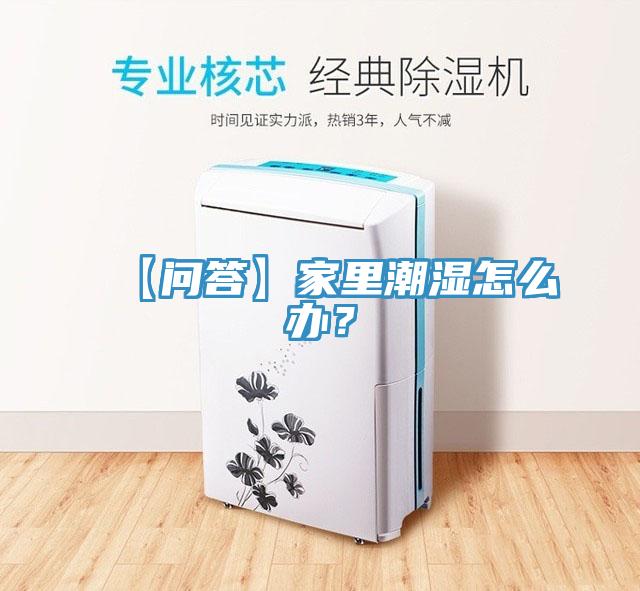 【問答】家里潮濕怎么辦？