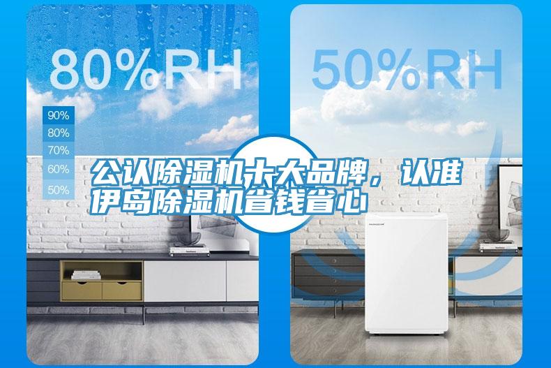 公認除濕機十大品牌,認準伊島除濕機省錢省心