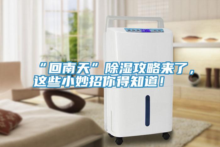 “回南天”除濕攻略來了，這些小妙招你得知道！