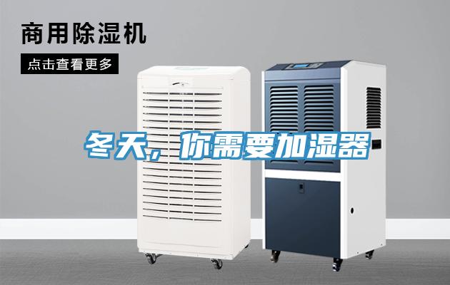冬天,你需要加濕器