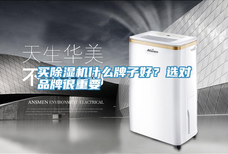 買除濕機什么牌子好？選對品牌很重要