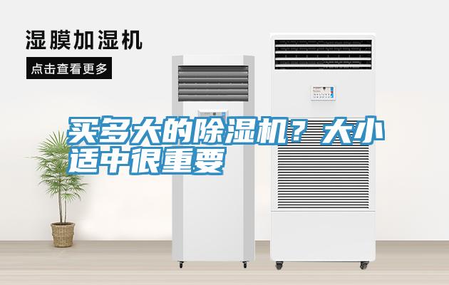 買多大的除濕機?大小適中很重要