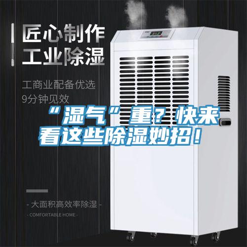 “濕氣”重？快來(lái)看這些除濕妙招！
