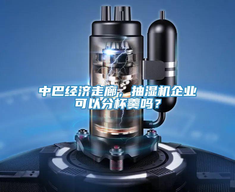 中巴經(jīng)濟走廊，抽濕機企業(yè)可以分杯羹嗎？