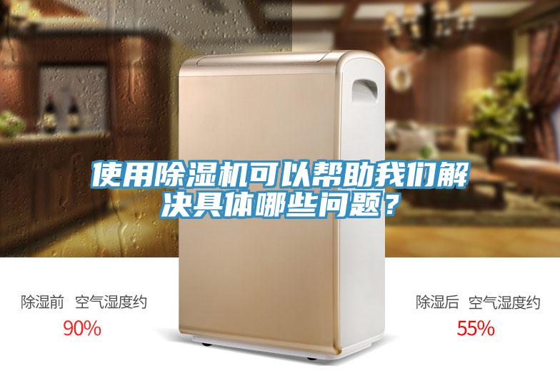 使用除濕機可以幫助我們解決具體哪些問題?