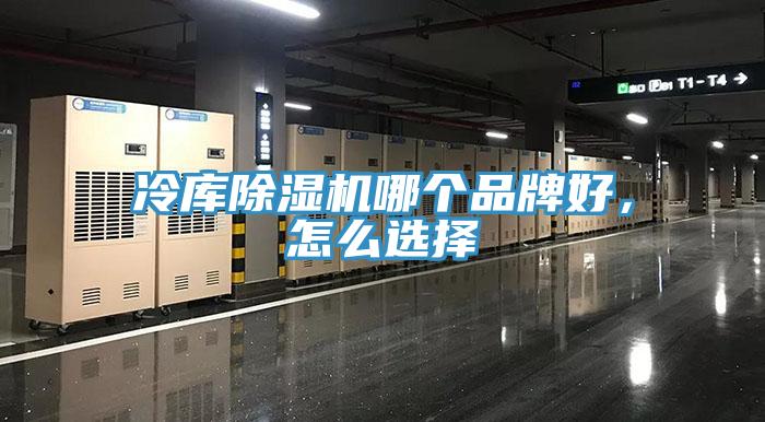 冷庫(kù)除濕機(jī)哪個(gè)品牌好,怎么選擇