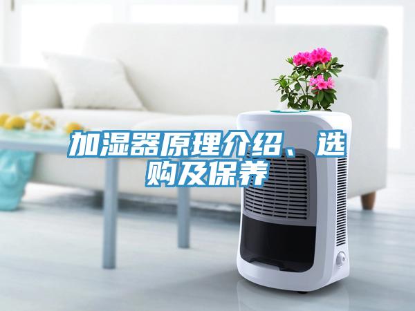 加濕器原理介紹、選購及保養(yǎng)