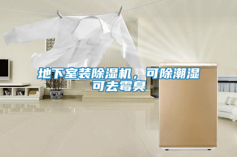 地下室裝除濕機,可除潮濕可去霉臭