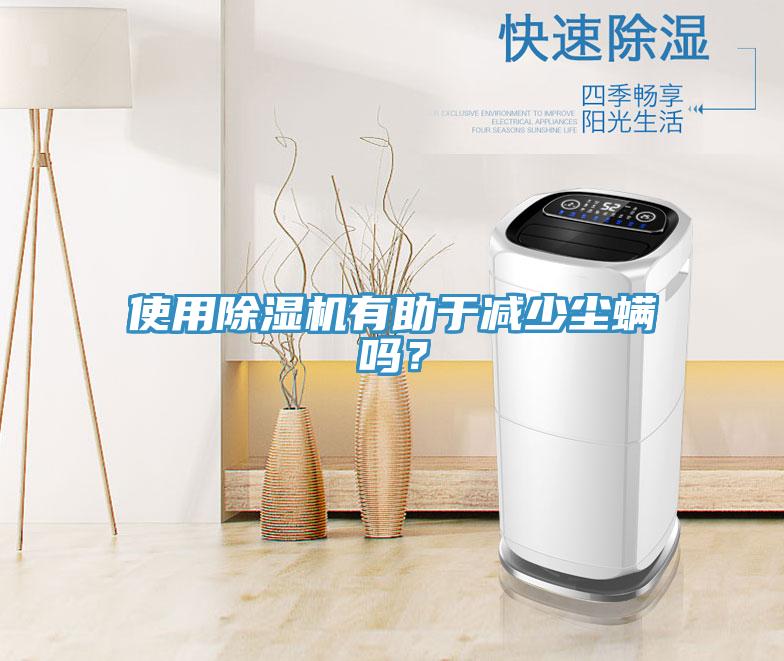 使用除濕機有助于減少塵螨嗎?