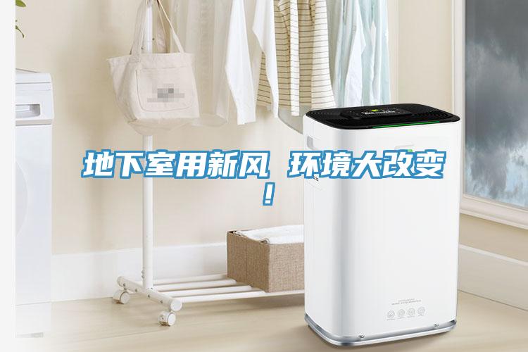 地下室用新風 環境大改變!