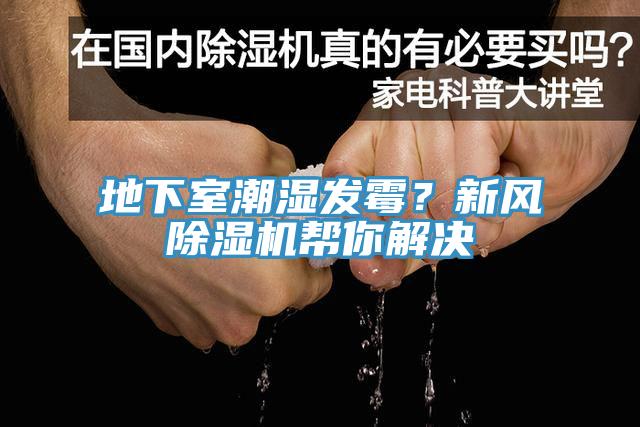 地下室潮濕發霉？新風除濕機幫你解決