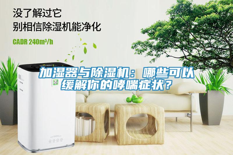 加濕器與除濕機(jī)：哪些可以緩解你的哮喘癥狀？