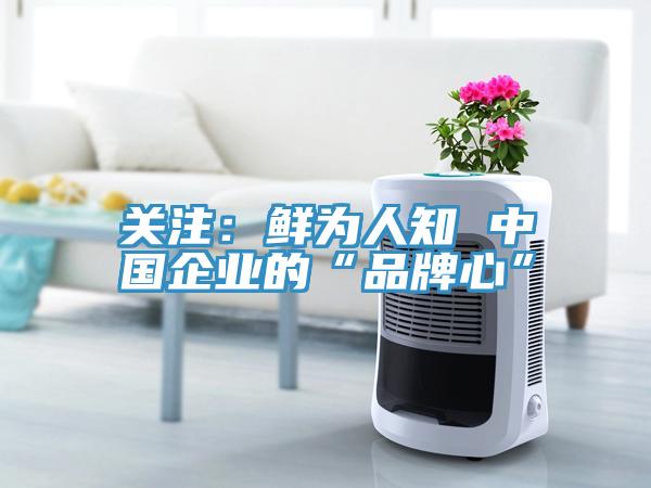 關注：鮮為人知 中國企業的“品牌心”