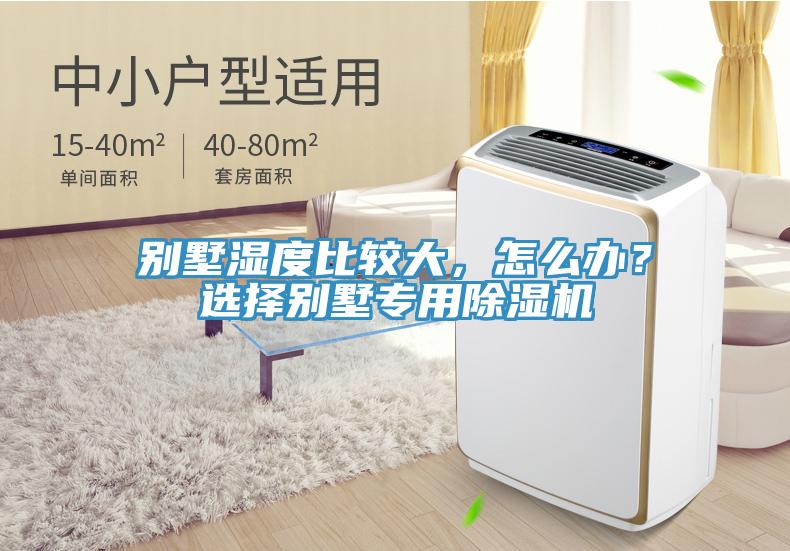 別墅濕度比較大,怎么辦?選擇別墅專用除濕機