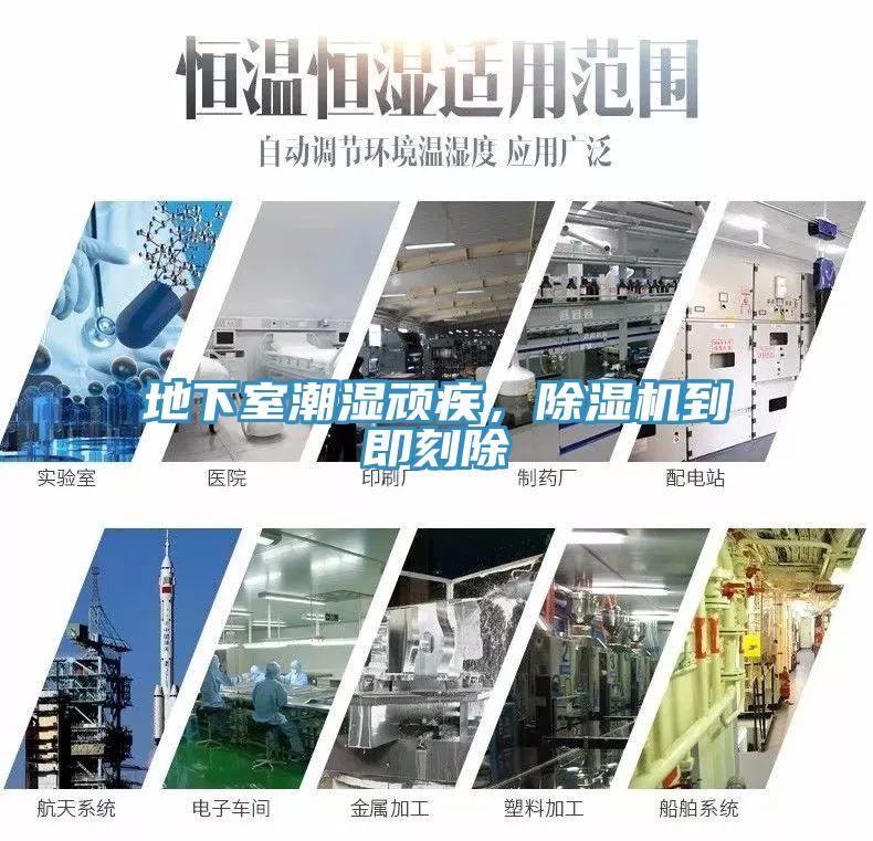 地下室潮濕頑疾,除濕機到即刻除