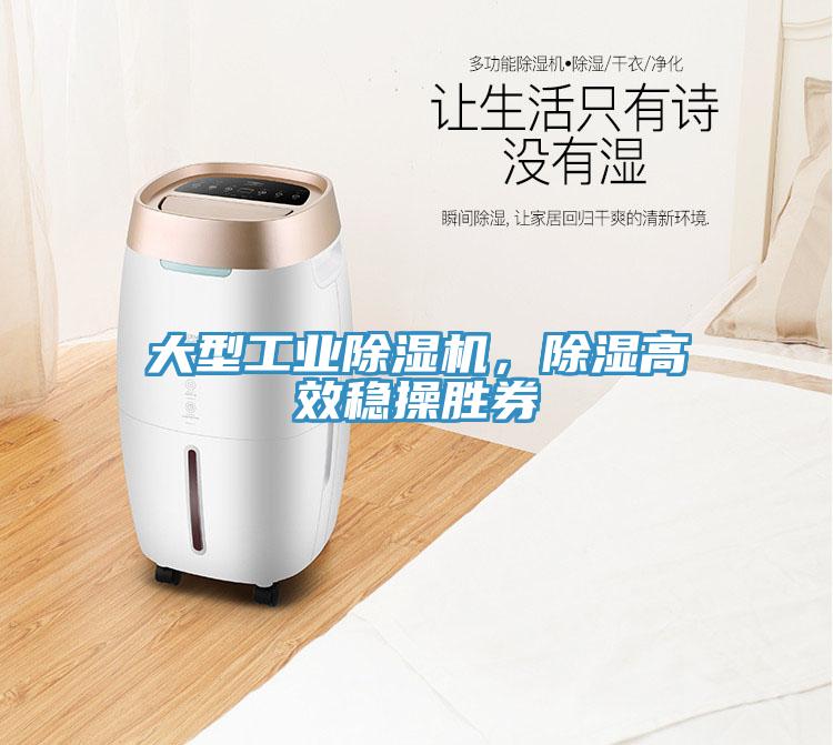 大型工業除濕機,除濕高效穩操勝券