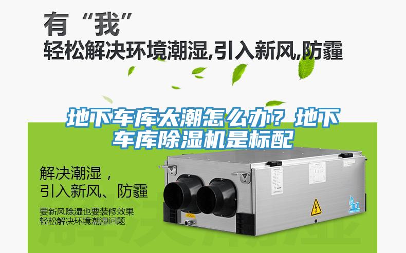 地下車庫太潮怎么辦?地下車庫除濕機是標配