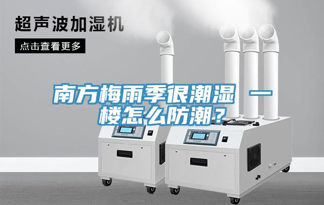 南方梅雨季很潮濕 一樓怎么防潮？
