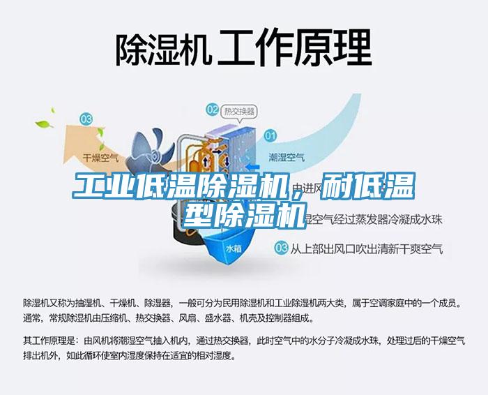 工業低溫除濕機，耐低溫型除濕機