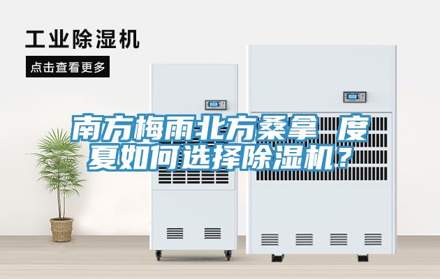 南方梅雨北方桑拿 度夏如何選擇除濕機？