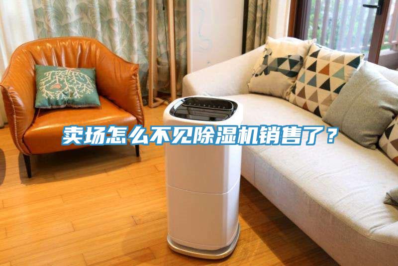 賣場怎么不見除濕機銷售了？
