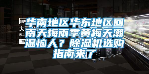 華南地區華東地區回南天梅雨季黃梅天潮濕惱人？除濕機選購指南來了