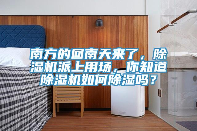 南方的回南天來了，除濕機派上用場，你知道除濕機如何除濕嗎？