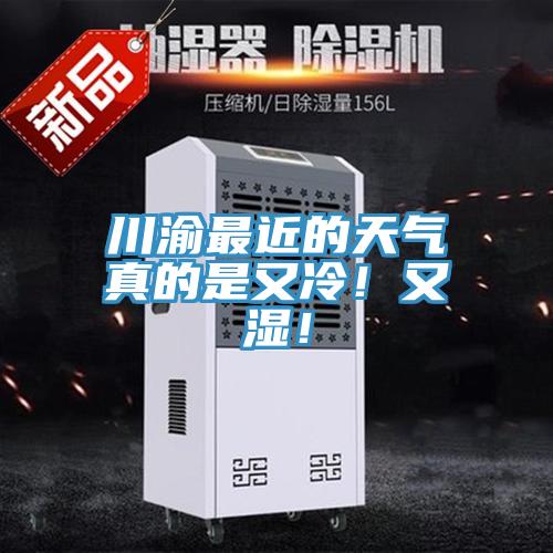 川渝最近的天氣真的是又冷！又濕！