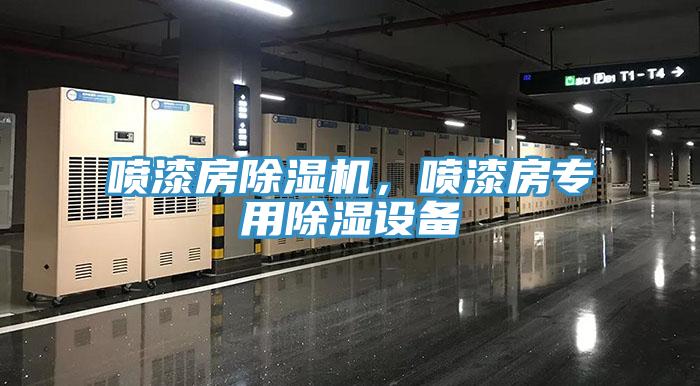 噴漆房除濕機(jī)，噴漆房專用除濕設(shè)備