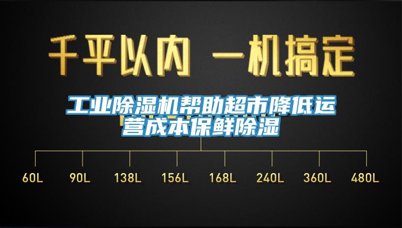 工業(yè)除濕機(jī)幫助超市降低運營成本保鮮除濕