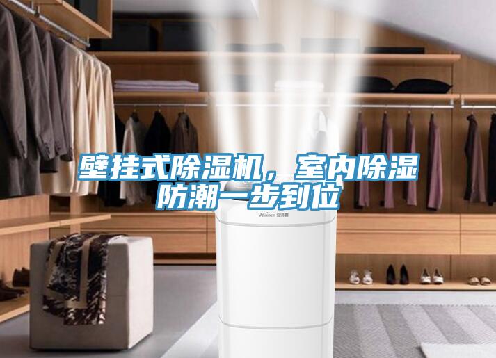壁掛式除濕機,室內除濕防潮一步到位