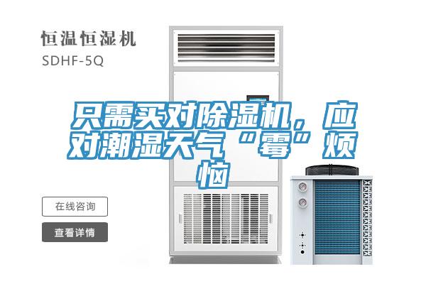 只需買對除濕機，應對潮濕天氣“霉”煩惱