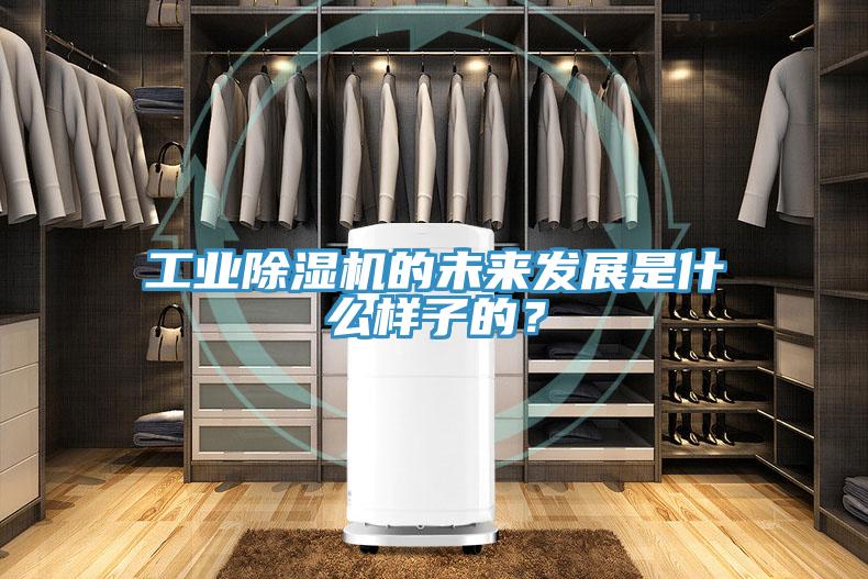 工業除濕機的未來發展是什么樣子的？