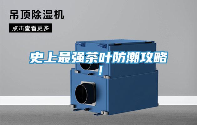 史上最強茶葉防潮攻略！