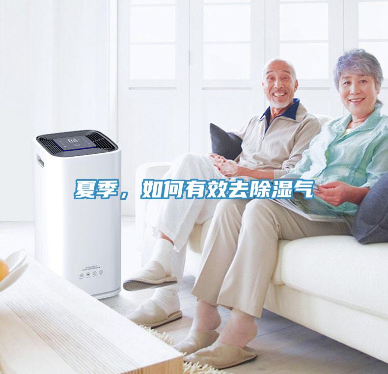 夏季,如何有效去除濕氣
