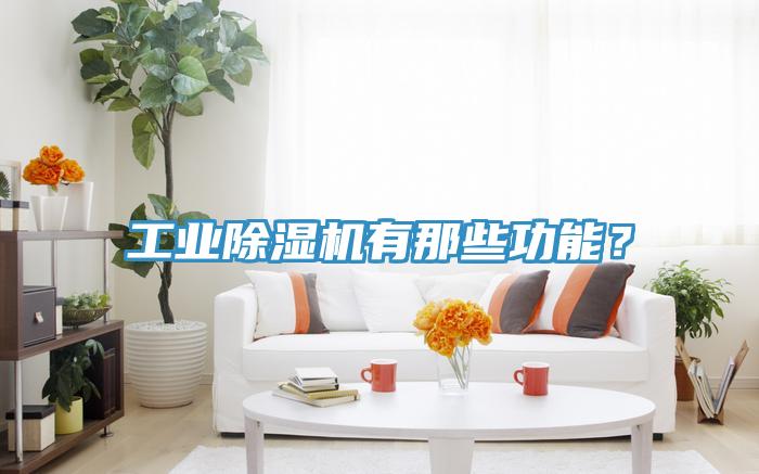工業除濕機有那些功能?