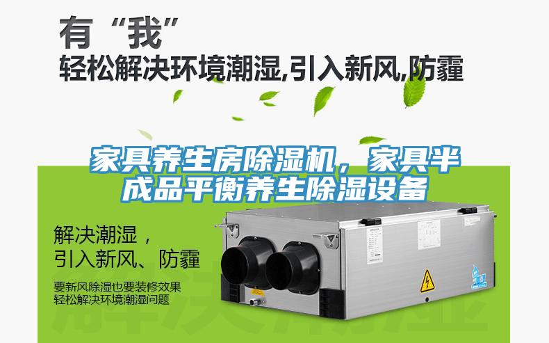 家具養(yǎng)生房除濕機(jī)，家具半成品平衡養(yǎng)生除濕設(shè)備