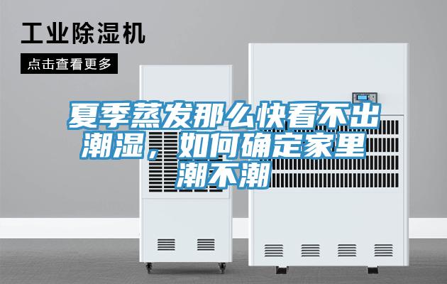 夏季蒸發那么快看不出潮濕，如何確定家里潮不潮