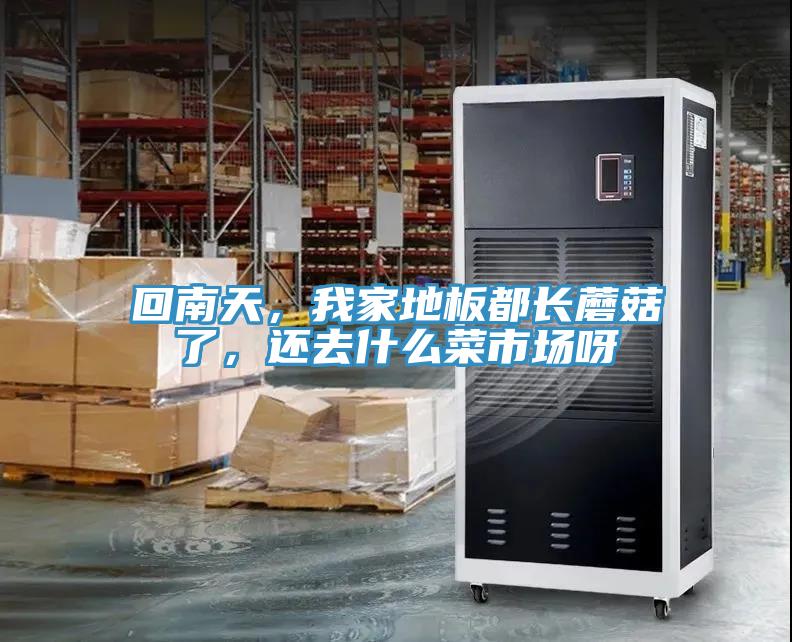 回南天,我家地板都長蘑菇了,還去什么菜市場呀