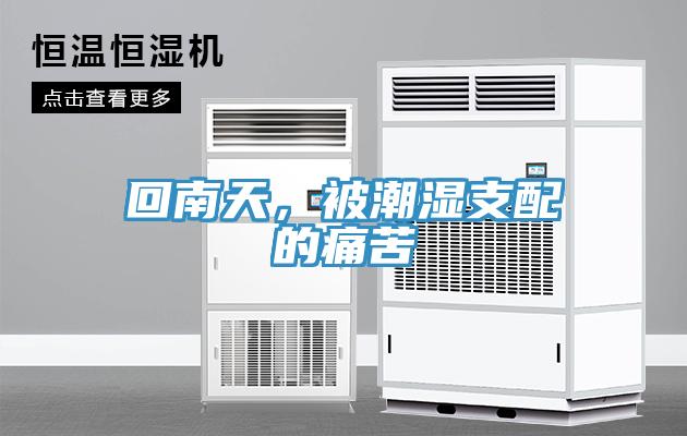 回南天,被潮濕支配的痛苦