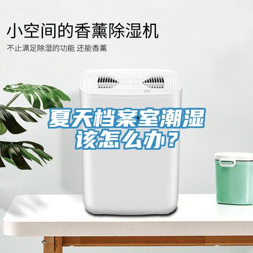 夏天檔案室潮濕該怎么辦？