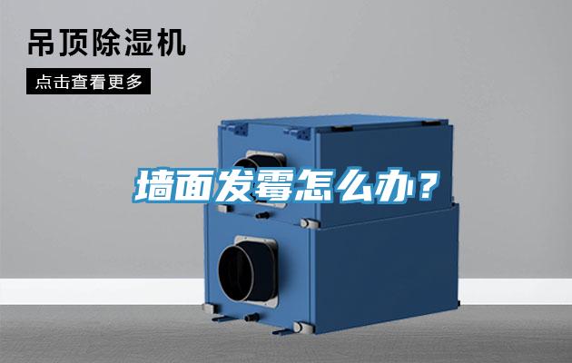 墻面發霉怎么辦?