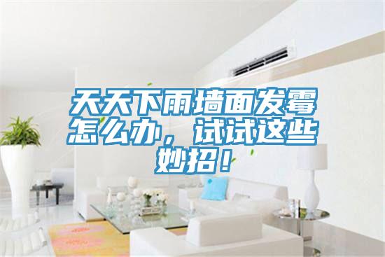天天下雨墻面發霉怎么辦,試試這些妙招!